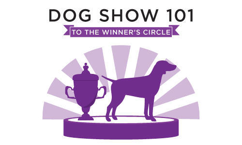 WKC 2021 Dog Show 101