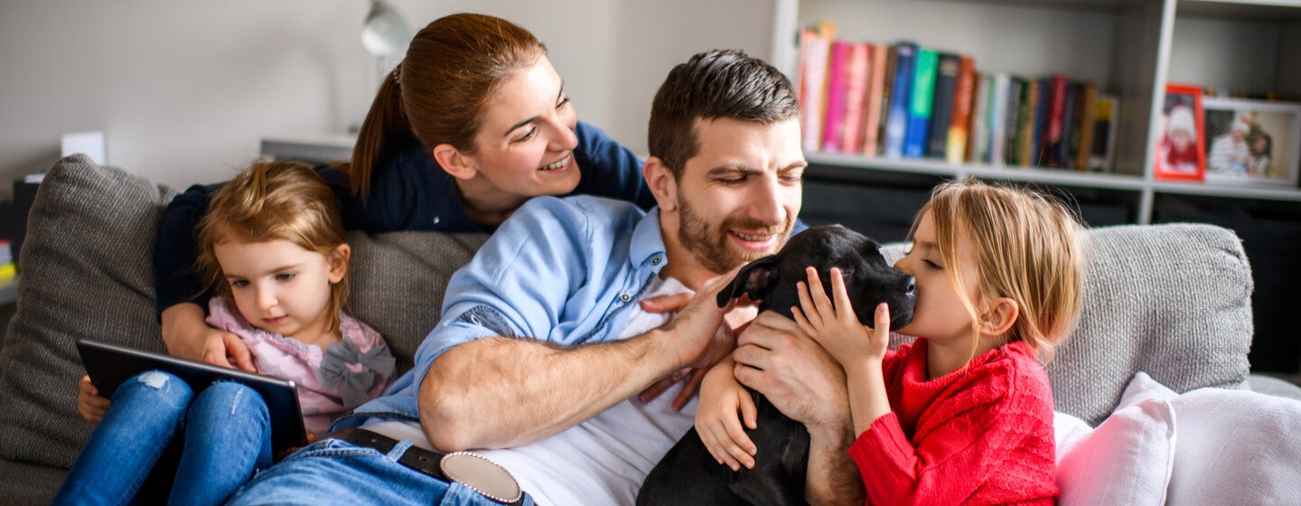 Family of four playing with black puppy