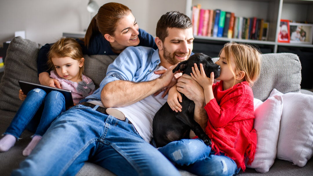 Best Family Dogs | Family of four playing with black puppy