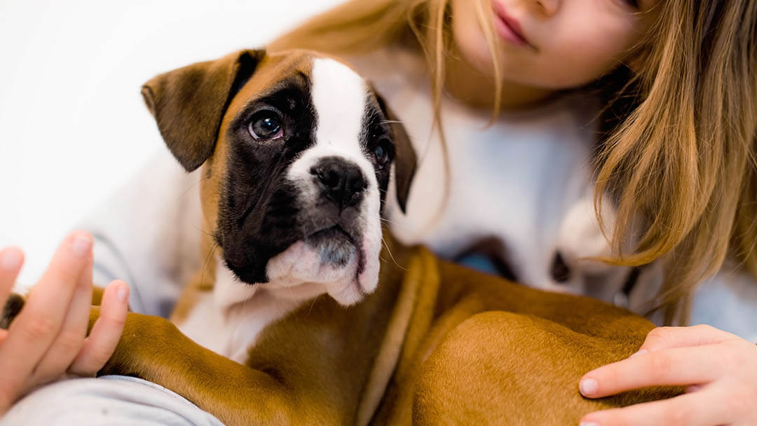 Girl holding dog.