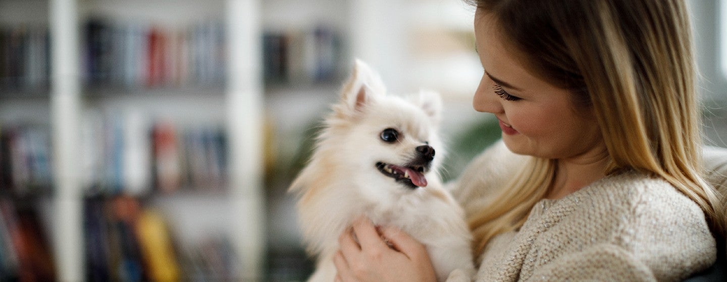 Woman with a white dog at home