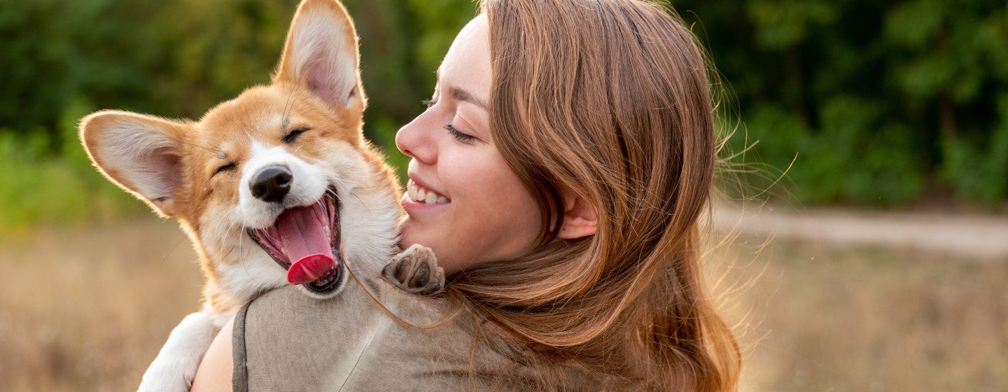Young woman holding laughing corgi puppy