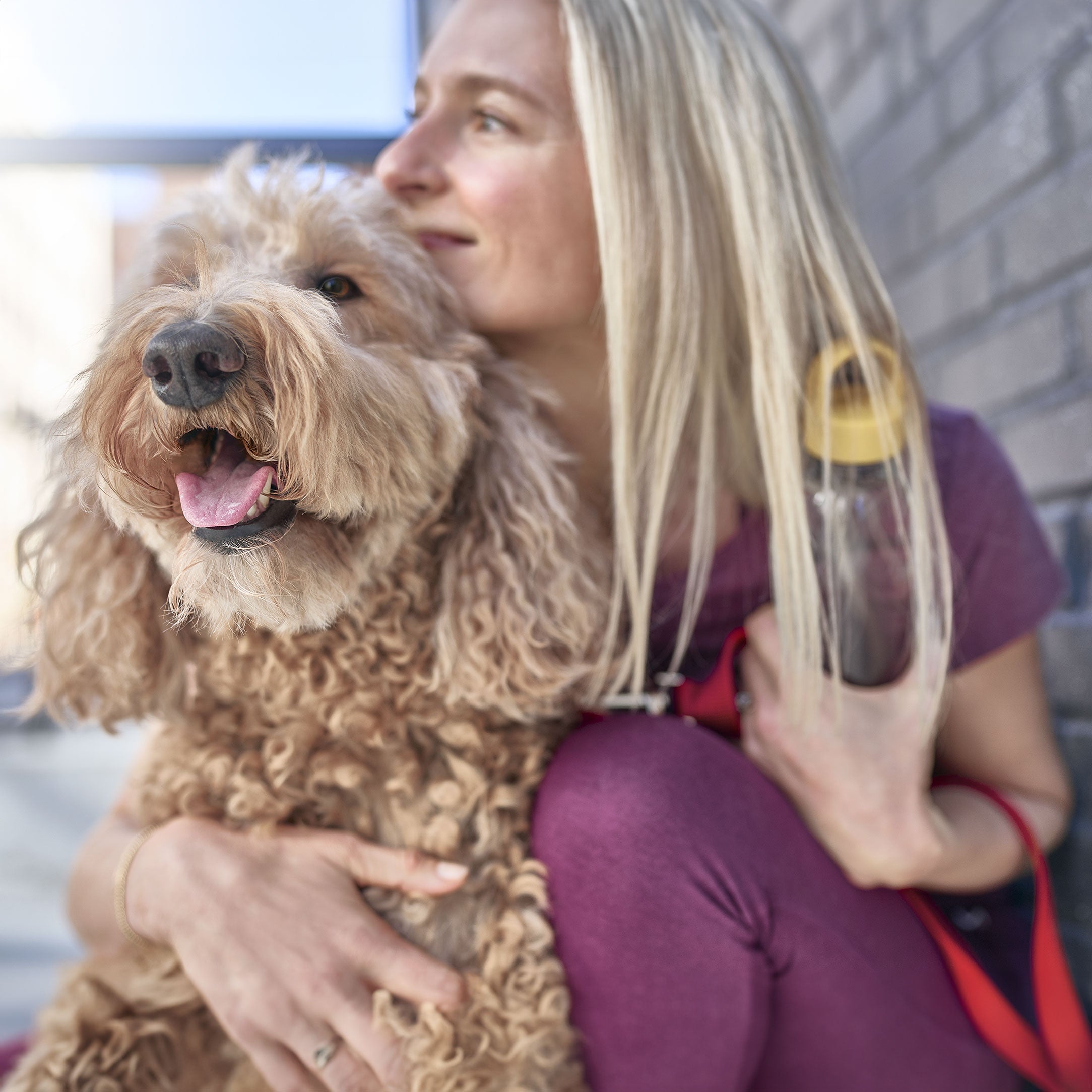 woman and dog