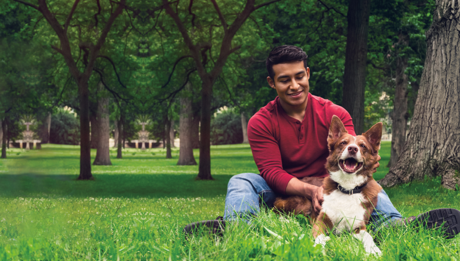 A man sitting in grass with a dog