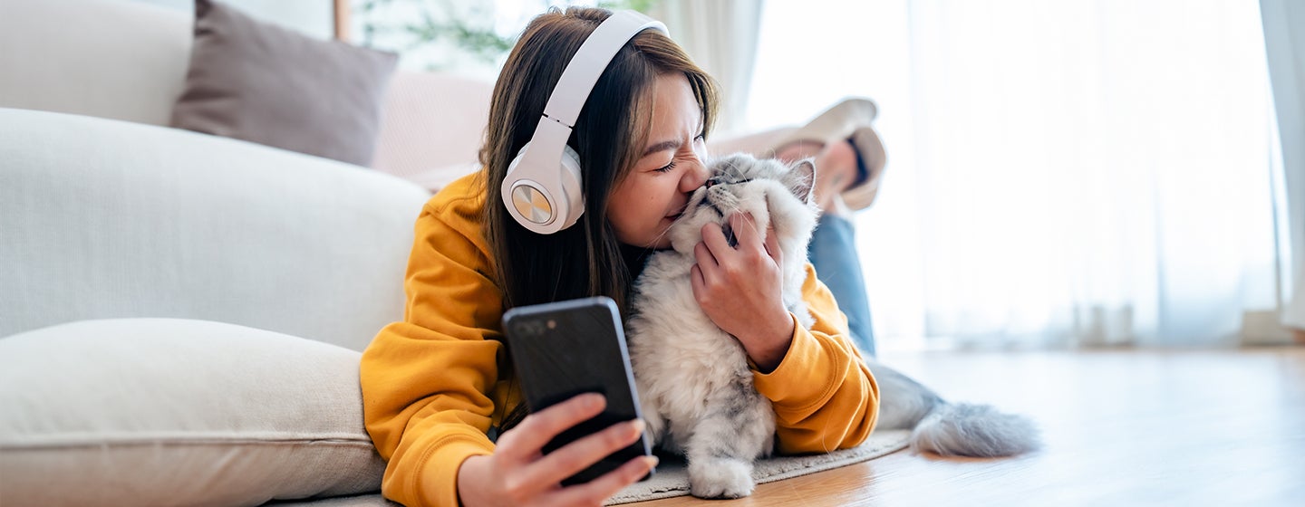 7 Cat Apps You Need to Know About