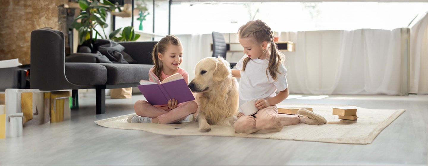 Dog Sitting and Daycare.