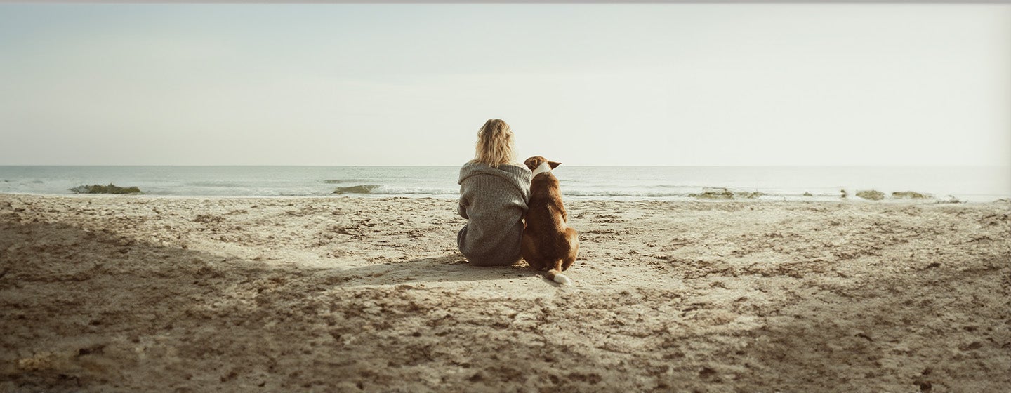 Dog Years to Human Years Calculator