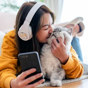 7 Cat Apps You Need to Know About