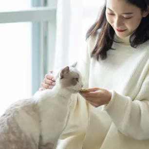 Can Cats Eat Pork?