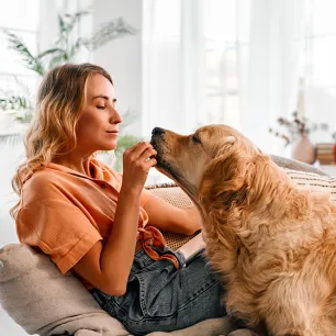 Can Dogs Eat Ginger