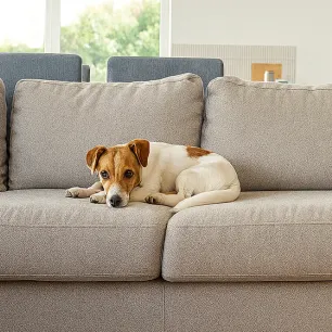 How Long Can You Leave a Dog Alone?