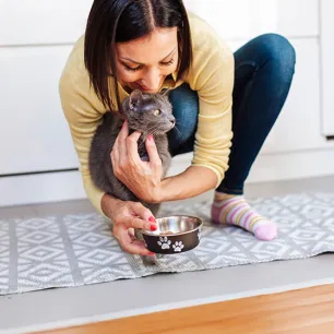 What Human Foods Can Cats Eat