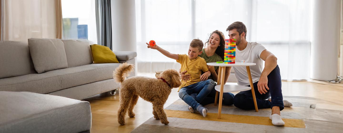 8 Indoor Games you can Play with Your Dog 