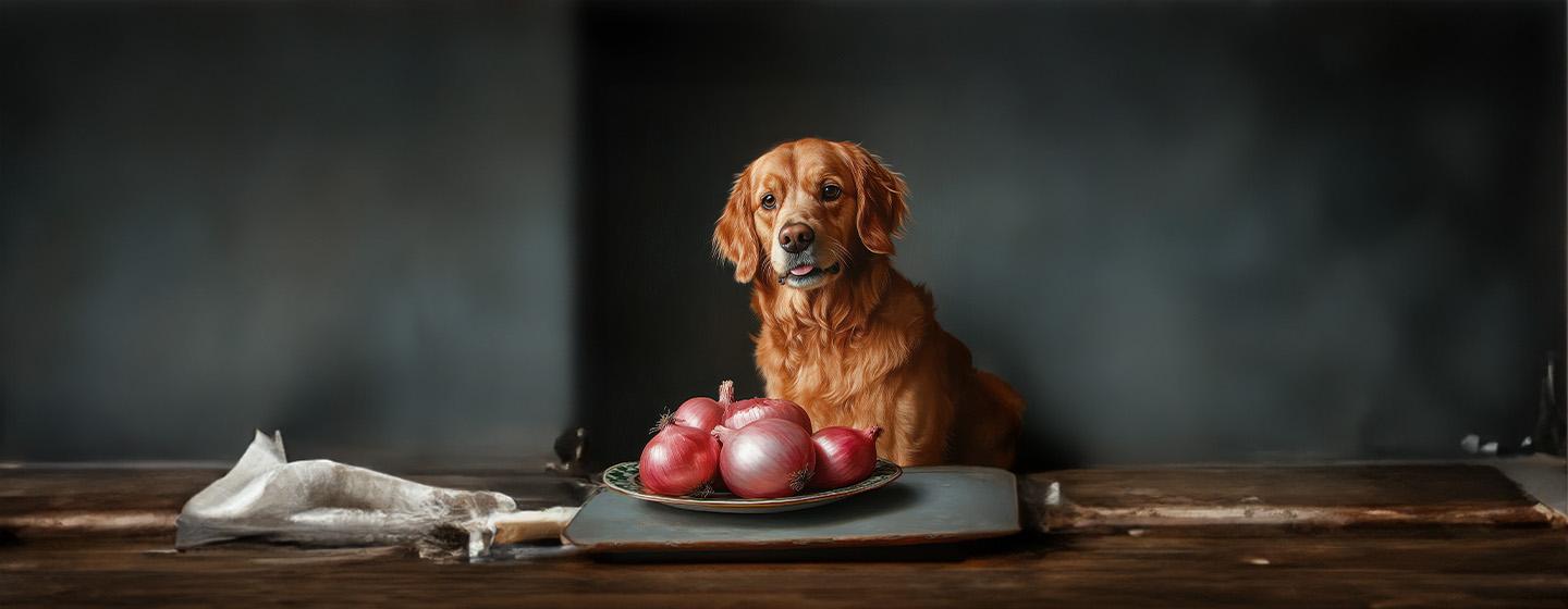 Can Dogs Eat Onions?