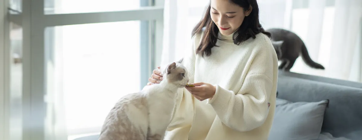 Can Cats Eat Pork?