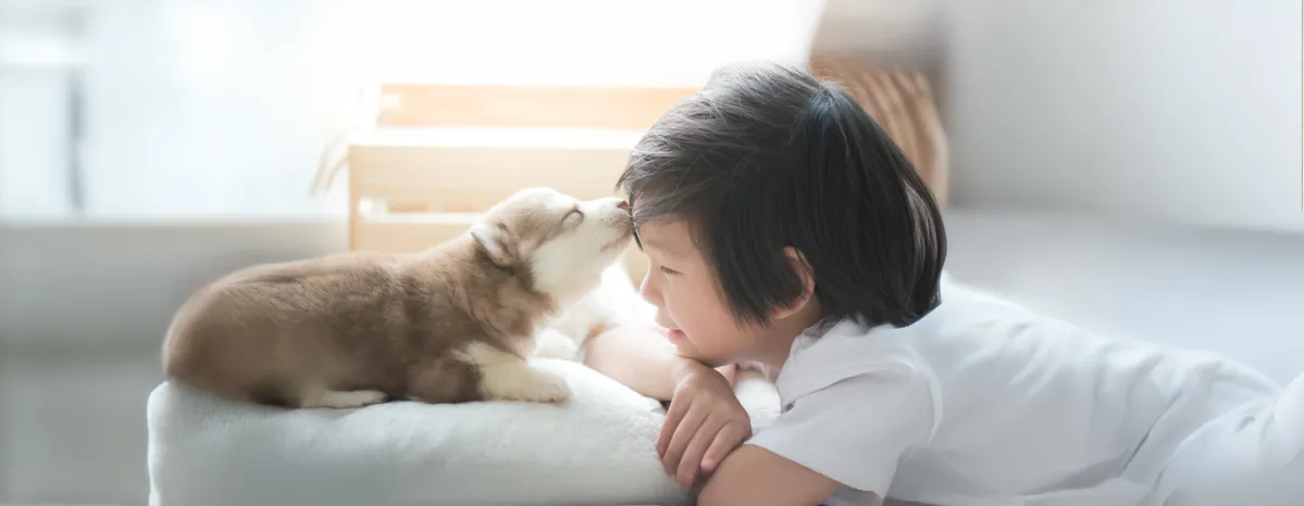 Introducing Puppies and Children