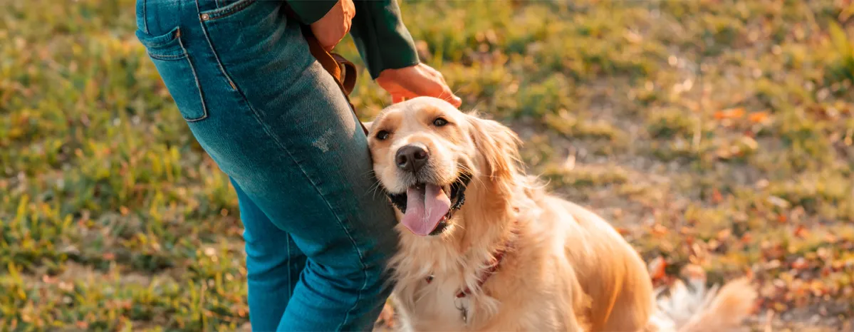 Is Just Loving Your Dog Enough