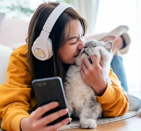 7 Cat Apps You Need to Know About