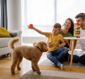 8 Indoor Games you can Play with Your Dog 