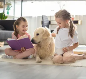 Dog Sitting and Daycare.