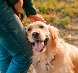 Is Just Loving Your Dog Enough