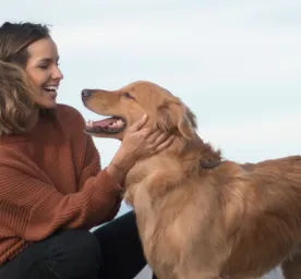 Medium-Sized Dog Breeds