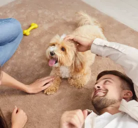 Puppy Buying Guide: Finding the Right Breeder