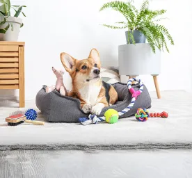 Types of Toys for Dogs