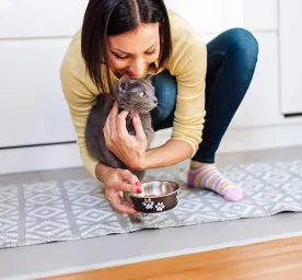 What Human Foods Can Cats Eat