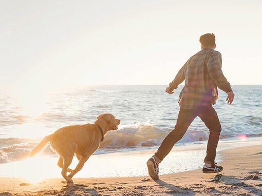 Man and dog running on the beach