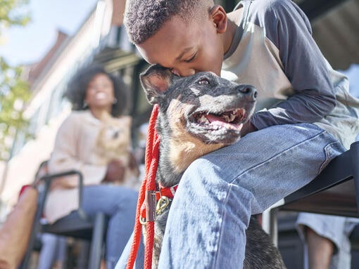 A boy kissing his dog