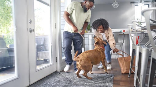 Family playing with their dog