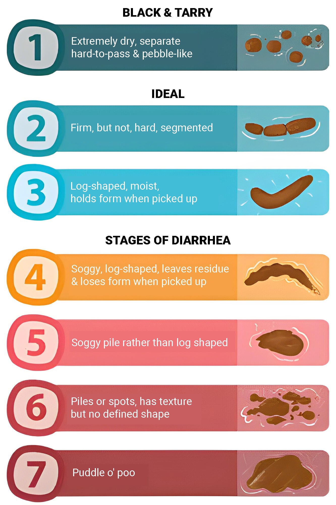 All about dog poop 2 Dog Poop Consistency chart