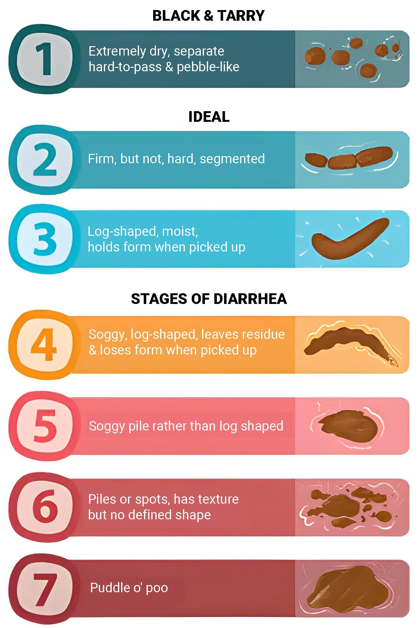 All About Dog Poop Dog Diarrhoea Colour And More Purina